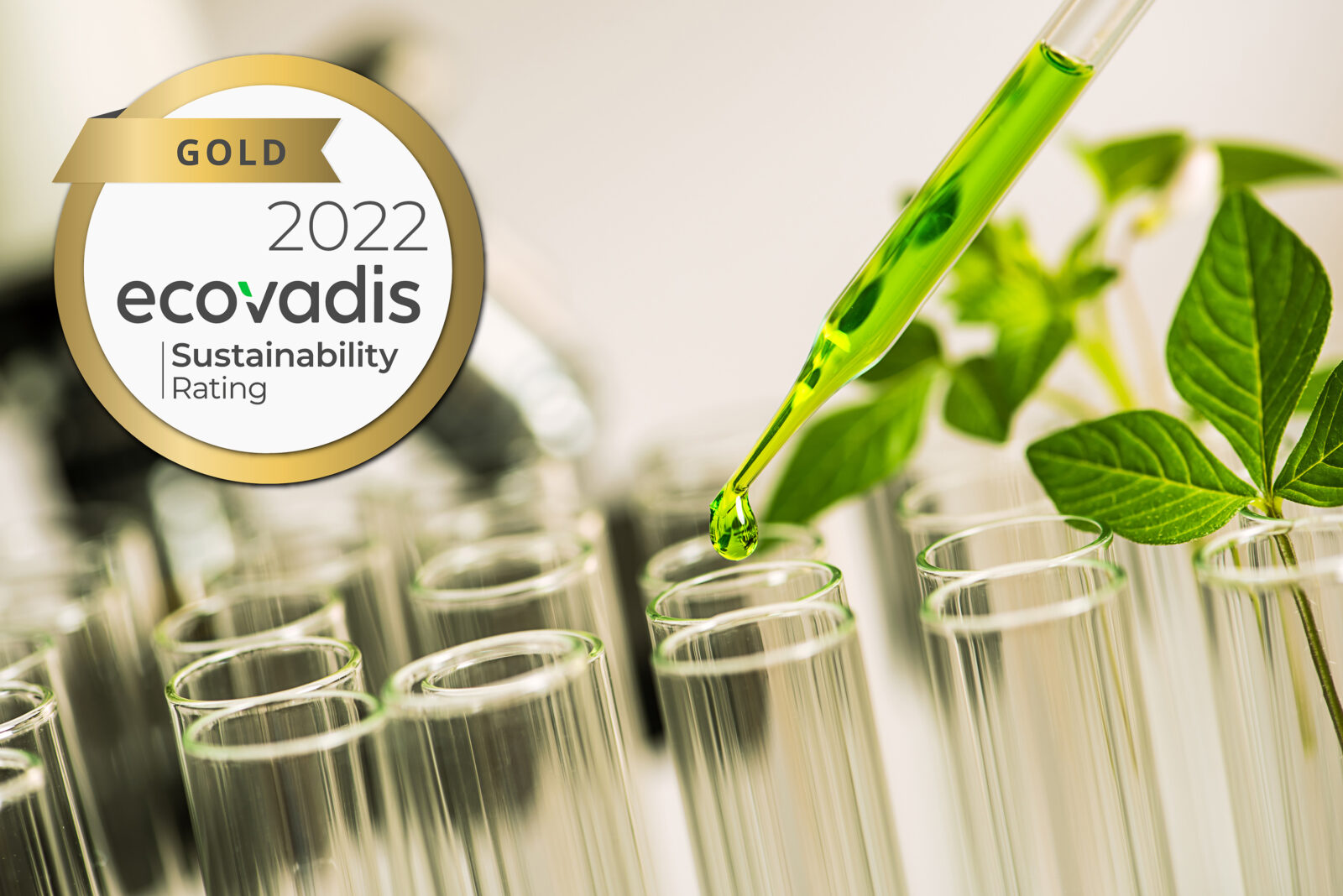 Sekab har tilldelats Guld för hållbarhetsarbete